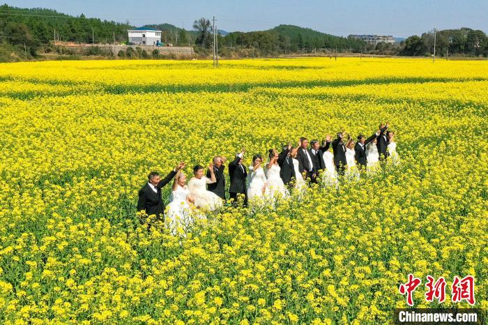 江西省内の菜の花畑が次々と満開に