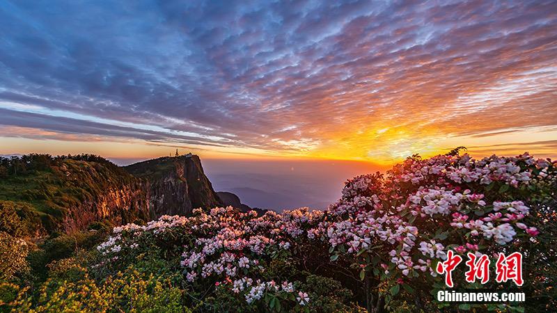 標高3099メートル！峨眉山の最高峰・万仏頂の一般公開再開へ