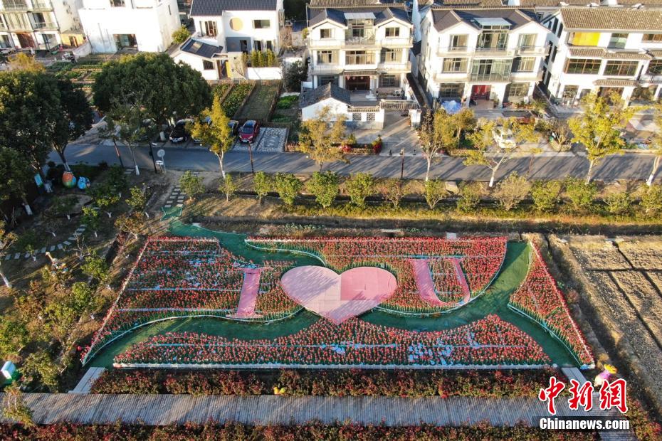 11月23日、上空から撮影した江蘇省昆山市周荘鎮の美しい郷村（撮影・泱波）。