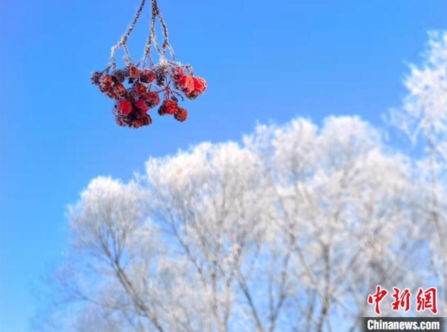 霧氷の美しい風景が現われた中ロ国境の河畔（撮影・肖玉華）。