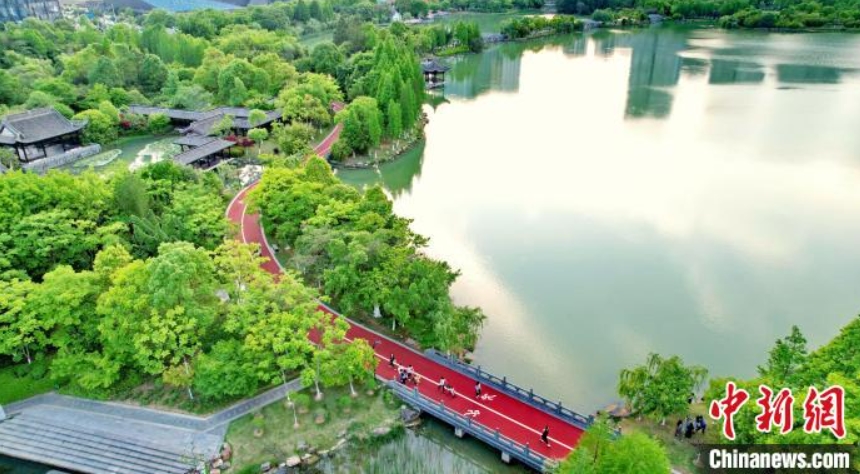 木々が生い茂った自然豊かな湿地公園（ドローンによる撮影・朱海鵬）。