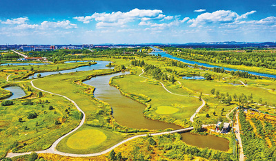 山東省済寧市微山湖国家湿地公園。