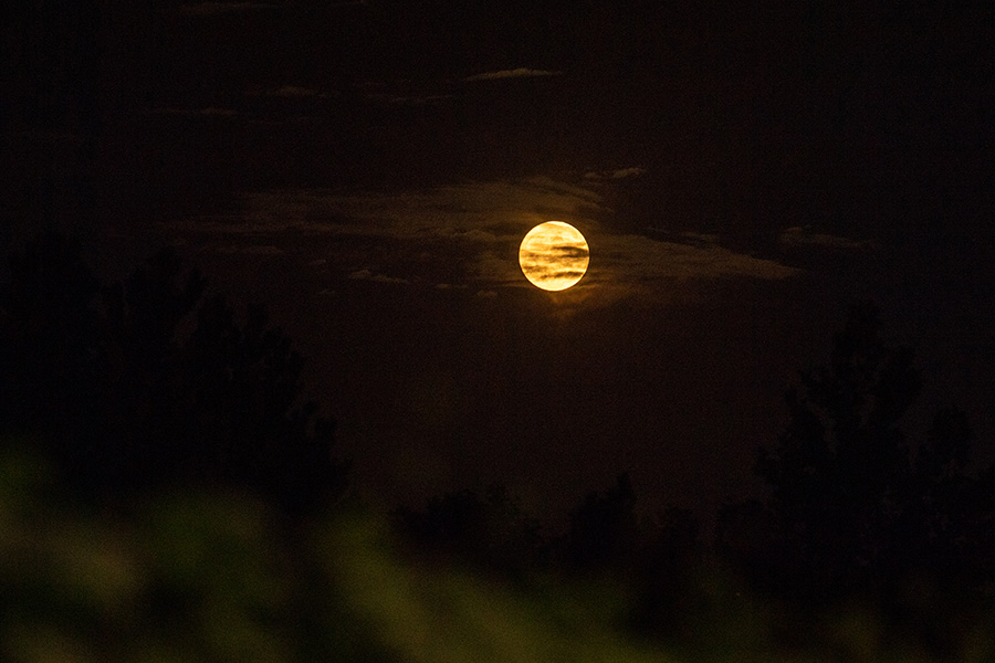 7月13日夜、薄雲に覆われたスーパームーン（撮影・翁奇羽）。