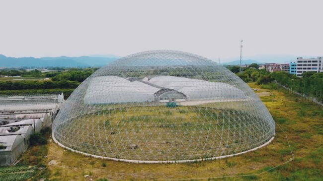 「空中」で栽培される野菜や果物