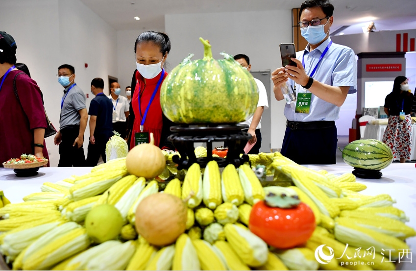 人々の注目を集めた陶器製のリアルな野菜や果物（撮影・時雨）。