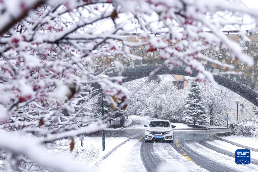 長白山万達国際リゾートの雪景色（10月10日撮影・陳慧）。