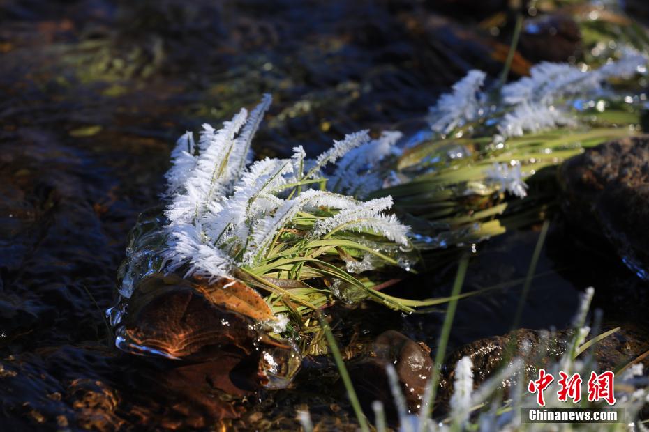 晩秋に「氷の花」咲く内蒙古大興安嶺