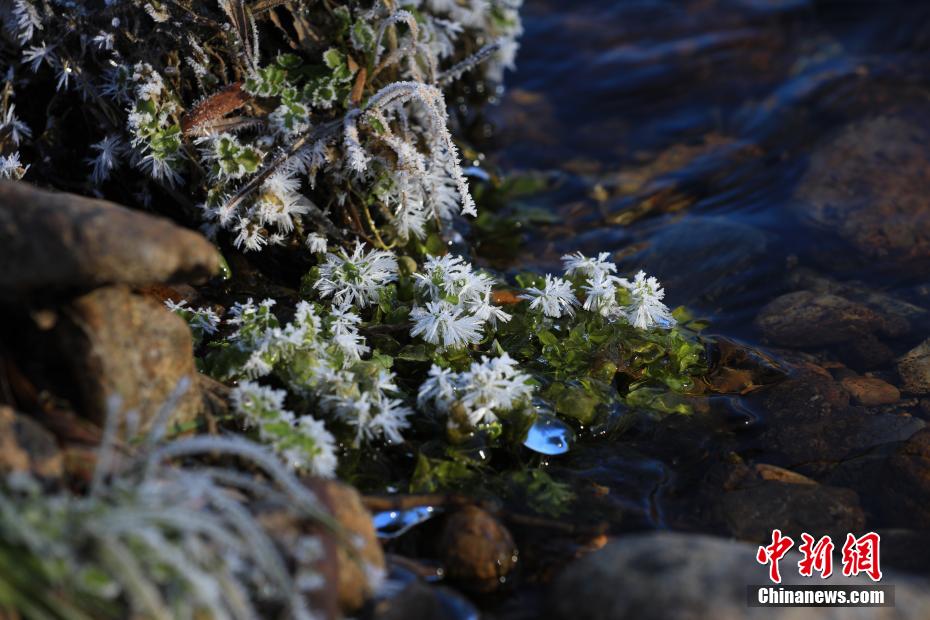 晩秋に「氷の花」咲く内蒙古大興安嶺