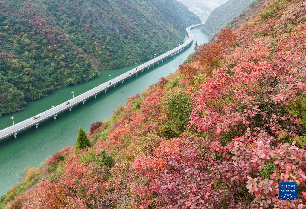 三峡ダム地区にある湖北省宜昌市興山県の「水上高速道路」を走行する車両（11月27日撮影・鄭家裕）。