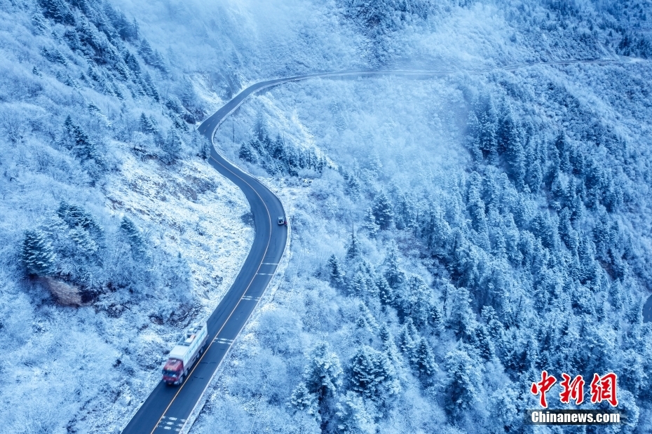 雪化粧が施された四川省臥竜自然保護区（撮影・劉国興）。