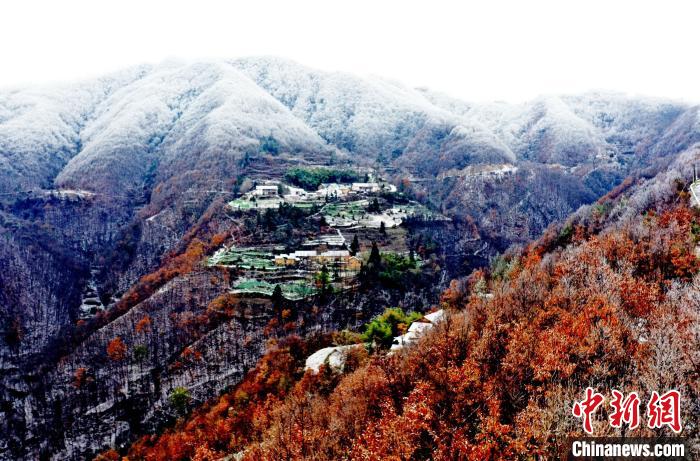 雪化粧を施されたカラフルな林（撮影・熊明銀）。