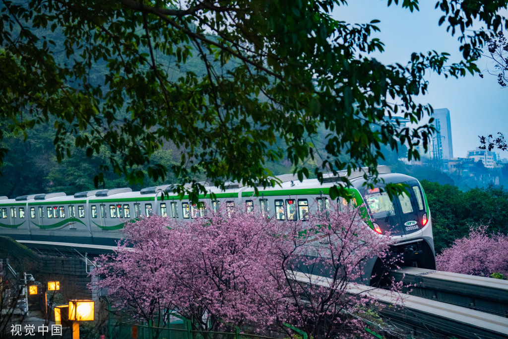 花の間を走行する列車　重慶