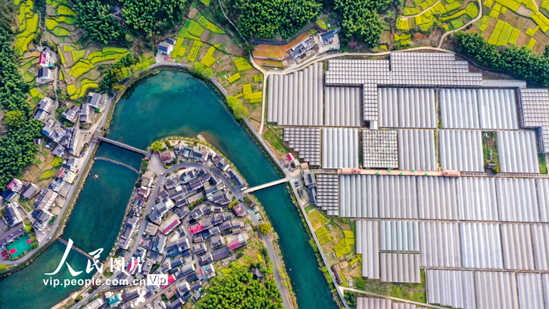 浙江省杭州市淳安県楓樹嶺鎮下姜村に広がる春景色（撮影・楊波/写真著作権は人民図片が所有のため転載禁止）。