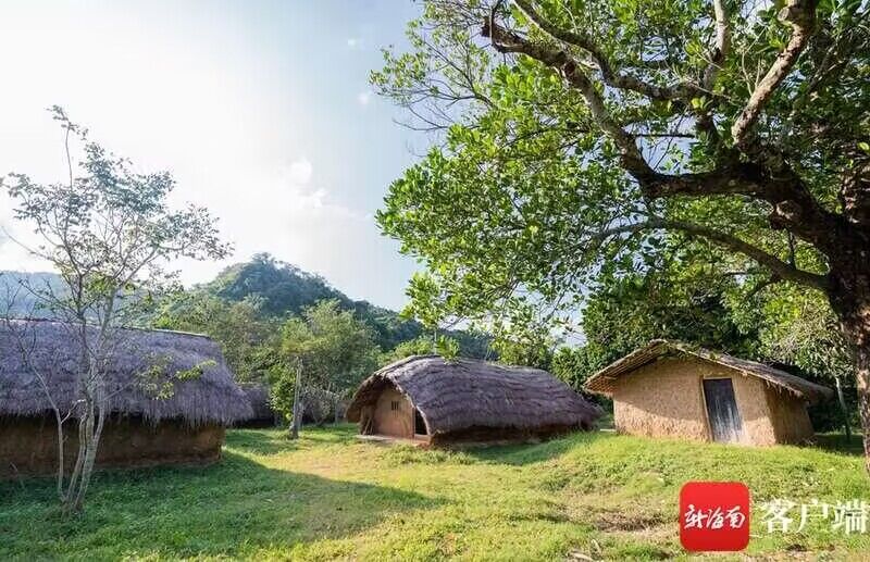 中国が24年ぶりに「複合遺産」申請へ　「海南省の熱帯雨林と黎族伝統集落」