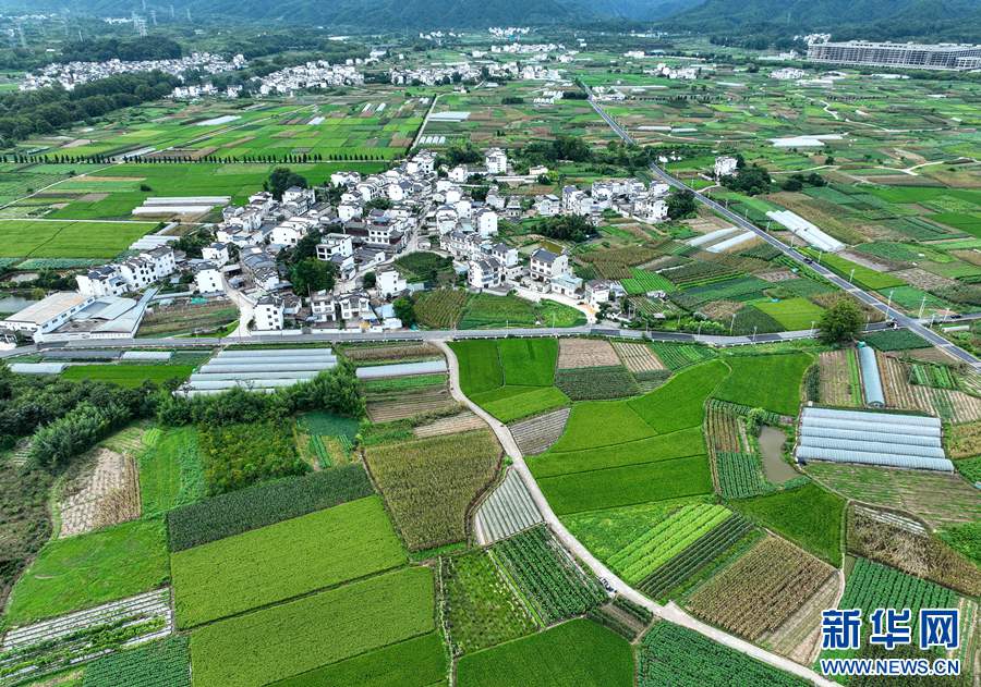 緑あふれる夏の田園風景　安徽省黄山市