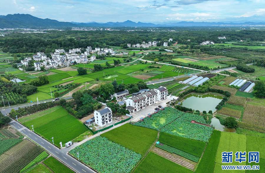 緑あふれる夏の田園風景　安徽省黄山市