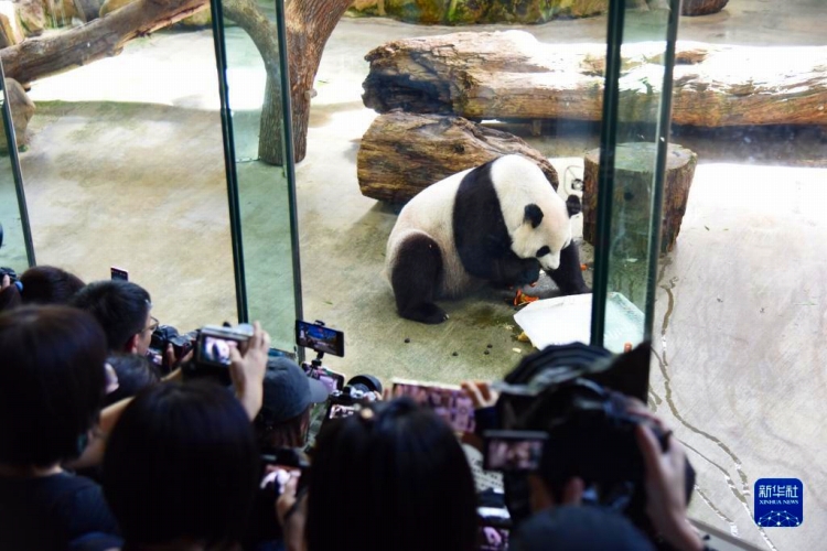 台北市動物園でパンダ「圓圓」の誕生日を祝う来園者たち（8月30日撮影・王承昊）。