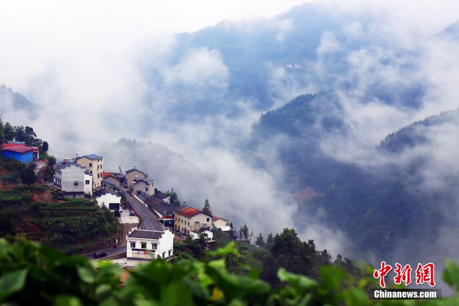 幻想的な景色広がる三峡ダム区の「雲海茶谷」　湖北省