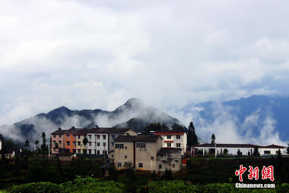 幻想的な景色広がる三峡ダム区の「雲海茶谷」　湖北省