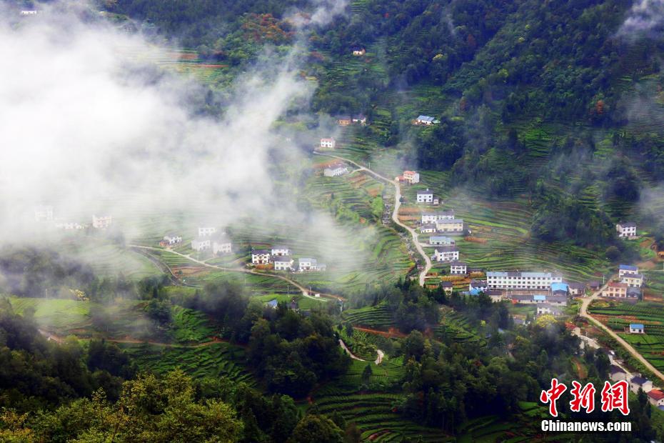 幻想的な景色広がる三峡ダム区の「雲海茶谷」　湖北省