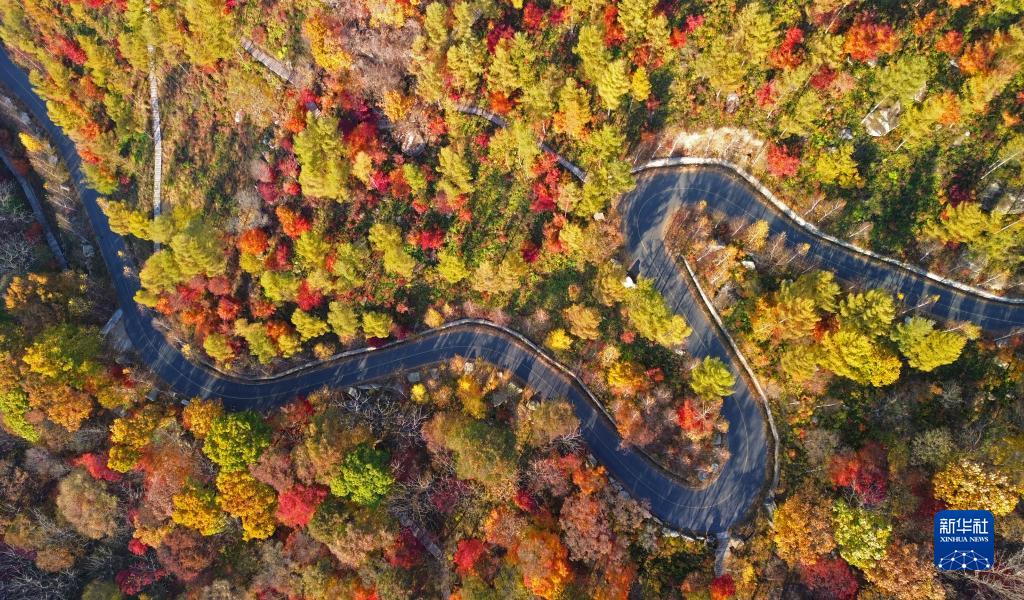 紅葉が見頃を迎え、鮮やかな色に染まった山々　遼寧省本渓