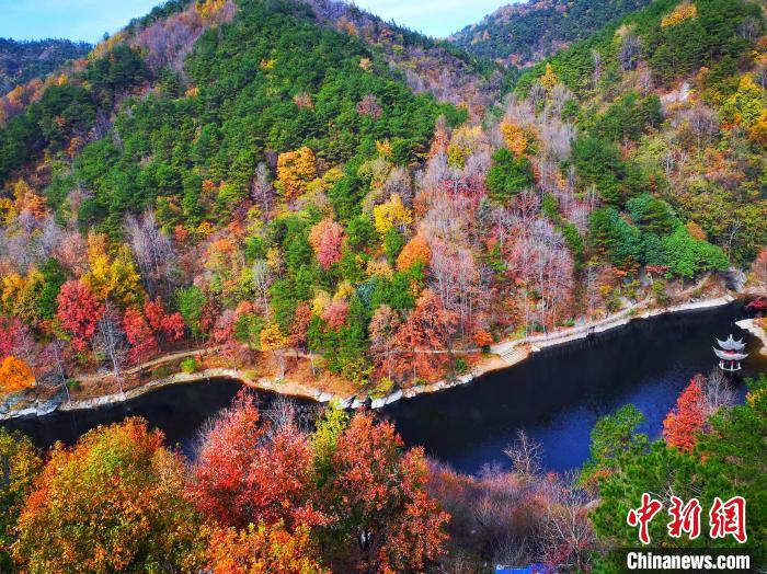 色づく初冬の紅葉が広がる武漢市黄陂区にある木蘭清凉寨景勝地（撮影・方崇陽）。