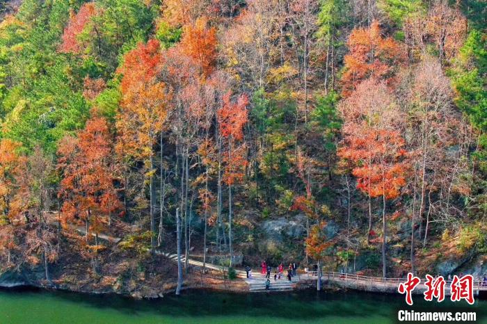 木蘭清凉寨で色づく初冬の紅葉　湖北省武漢