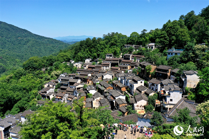 青々と木々が茂る山に囲まれた婺源県の篁嶺村（撮影・時雨）。