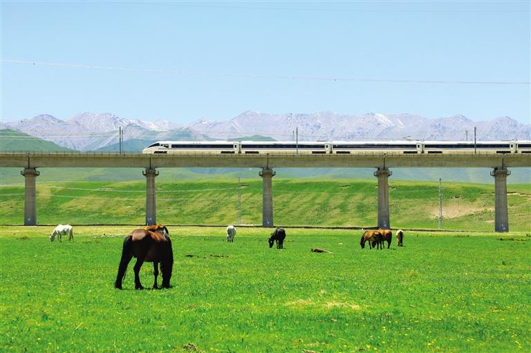 山丹軍用馬牧場を通過する高速列車（撮影・徐凌波）。