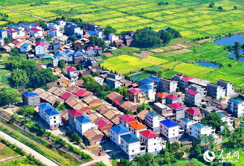 江西省吉安市吉水県楓江鎮小江村に広がる民家と住宅と田畑・川・緑濃い木々が互いを引き立て合う美しい農村風景（撮影・朱海鵬）。